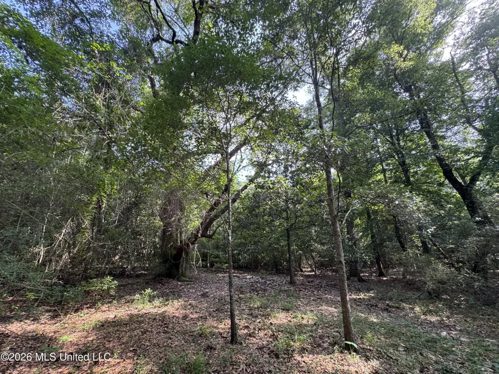 2980 Dwyer Branch Road Vancleave, MS 39565