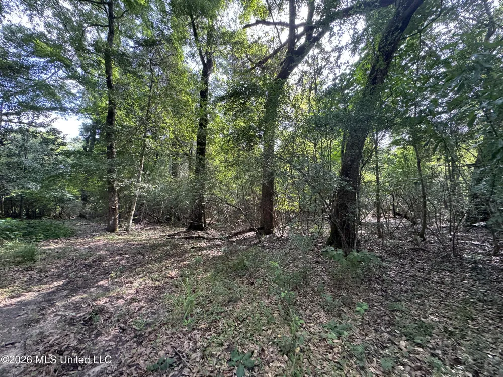 2980 Dwyer Branch Road Vancleave, MS 39565