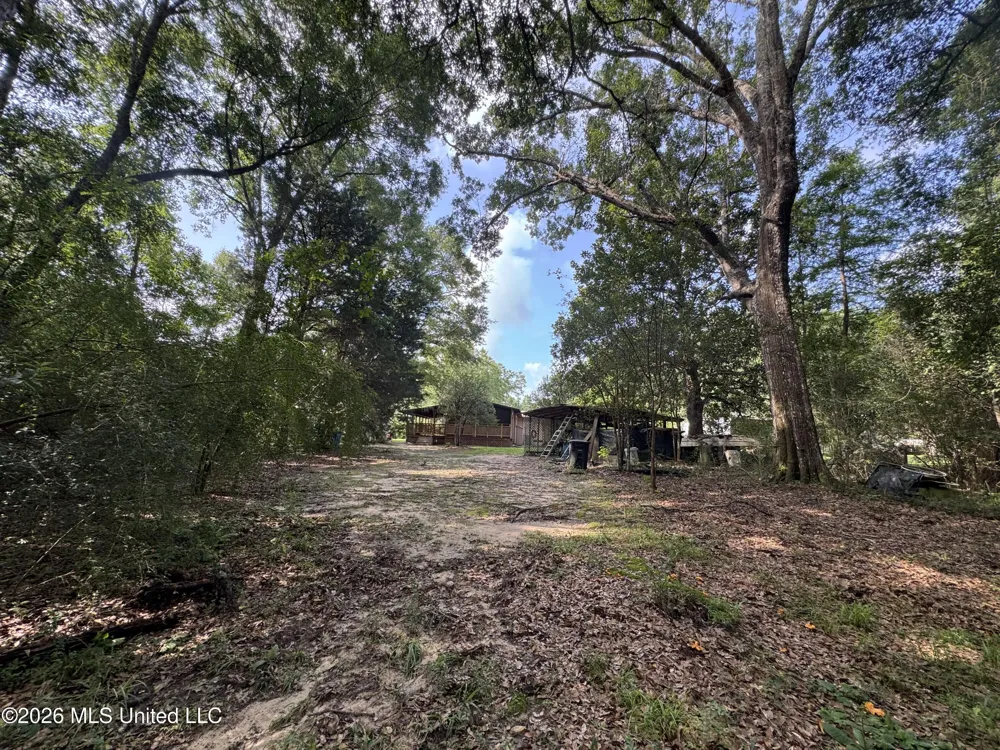 2980 Dwyer Branch Road Vancleave, MS 39565