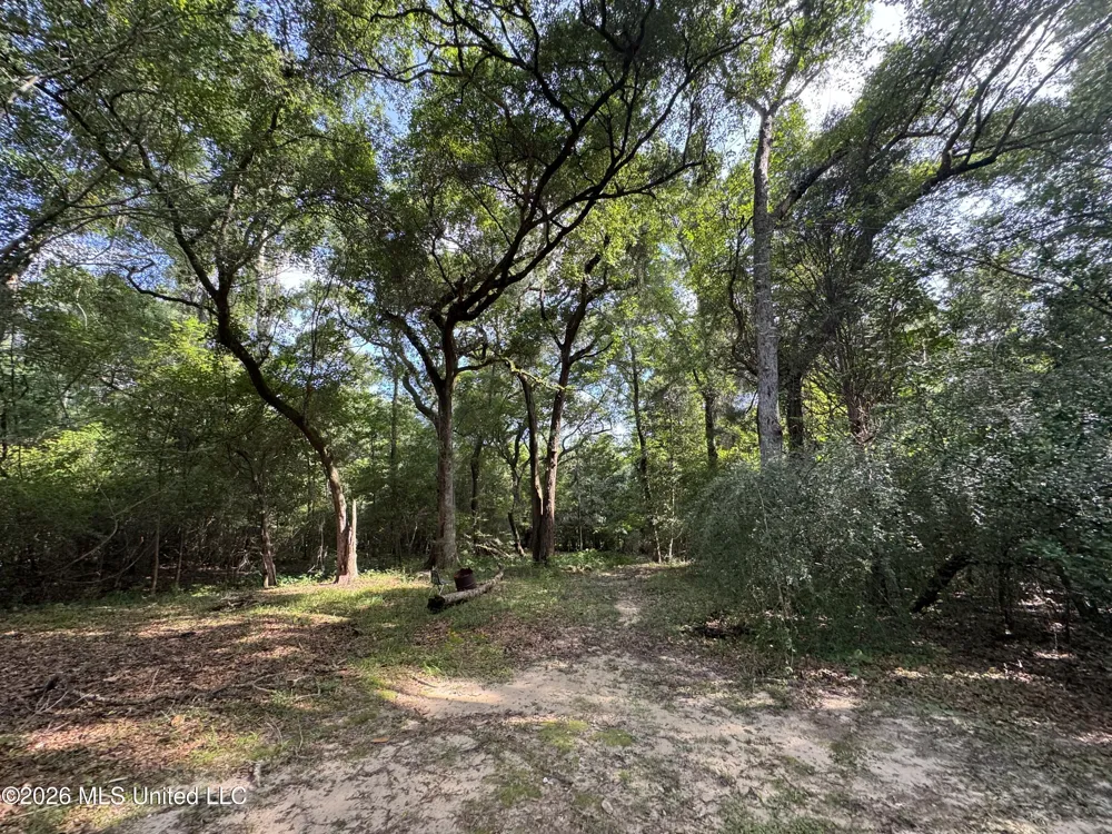 2980 Dwyer Branch Road Vancleave, MS 39565