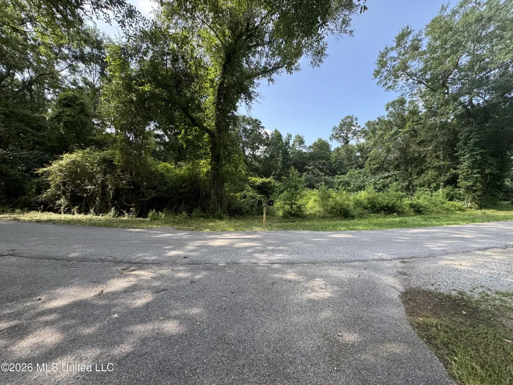 2980 Dwyer Branch Road Vancleave, MS 39565