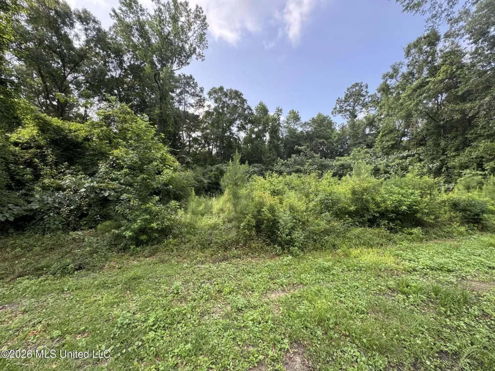 2980 Dwyer Branch Road Vancleave, MS 39565