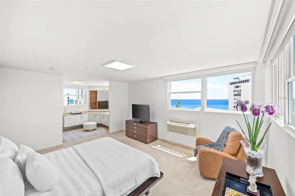10 Rosa ISLA VERDE #PH-5 Carolina, PR 00979
