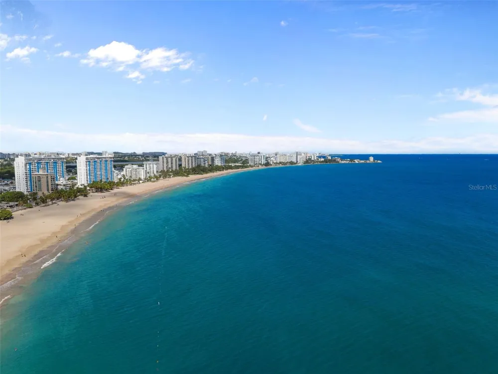 10 Rosa ISLA VERDE #PH-5 Carolina, PR 00979