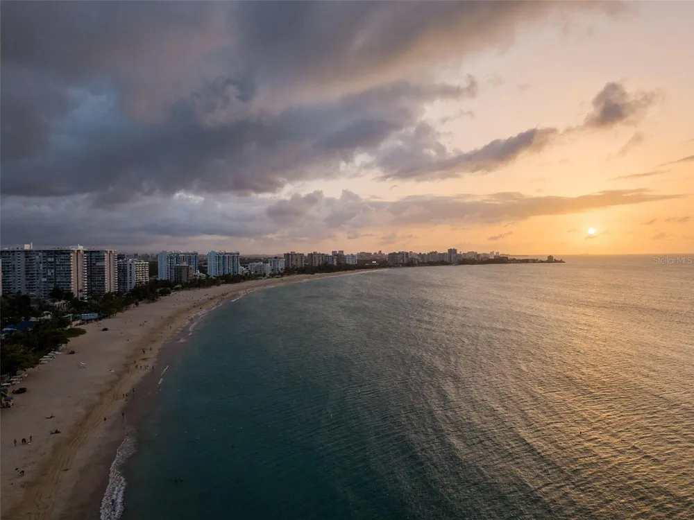 10 Rosa ISLA VERDE #PH-5 Carolina, PR 00979