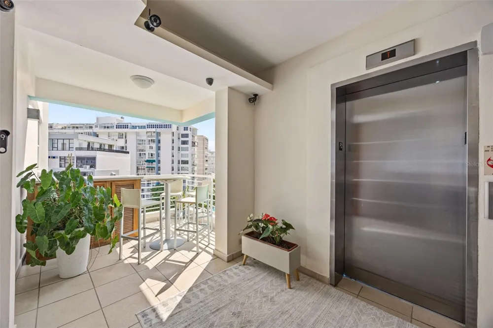 10 Rosa ISLA VERDE #PH-5 Carolina, PR 00979