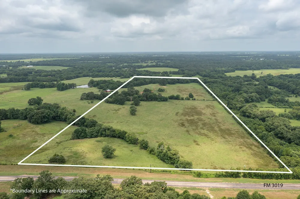 FM 3019 Winnsboro, TX 75494