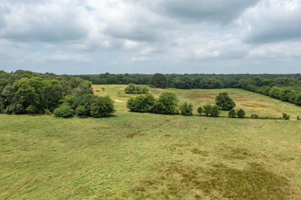 FM 3019 Winnsboro, TX 75494