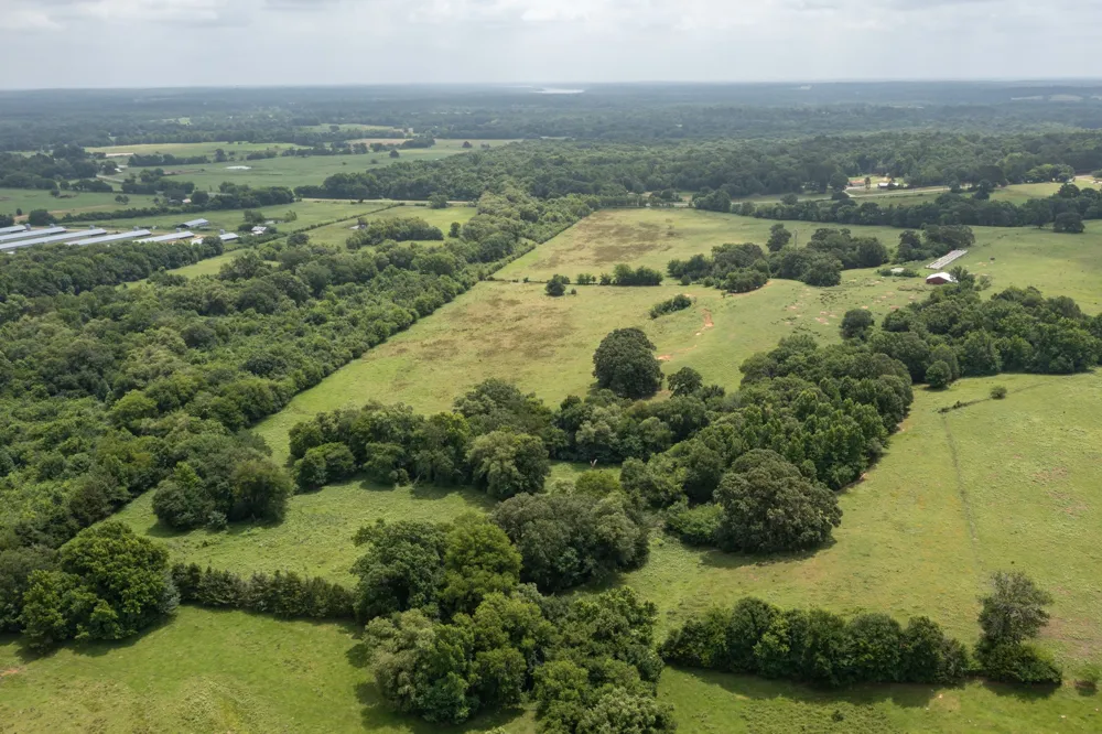 FM 3019 Winnsboro, TX 75494