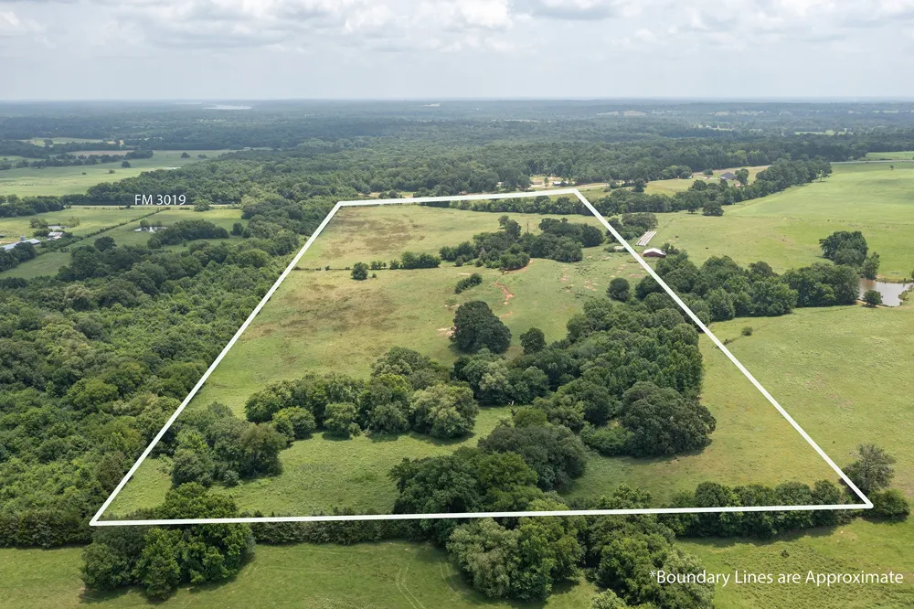 FM 3019 Winnsboro, TX 75494