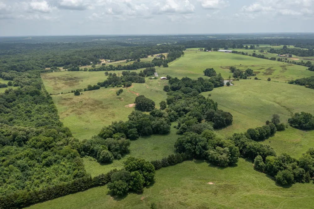 FM 3019 Winnsboro, TX 75494