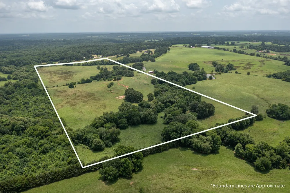 FM 3019 Winnsboro, TX 75494