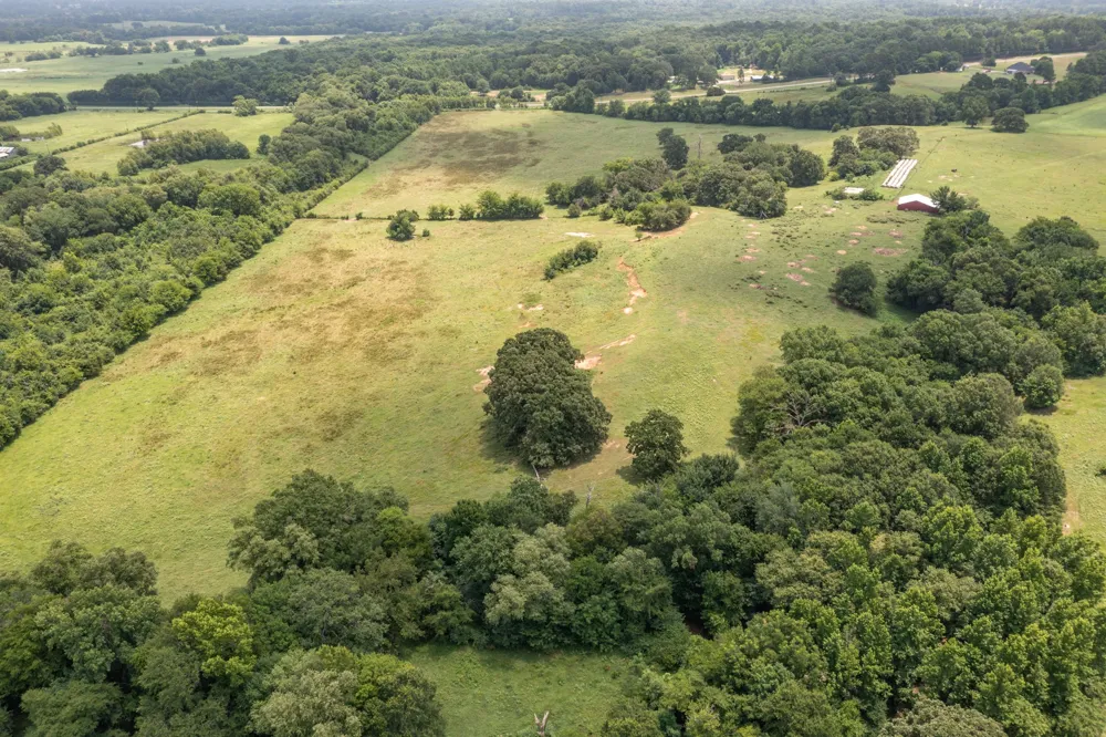 FM 3019 Winnsboro, TX 75494