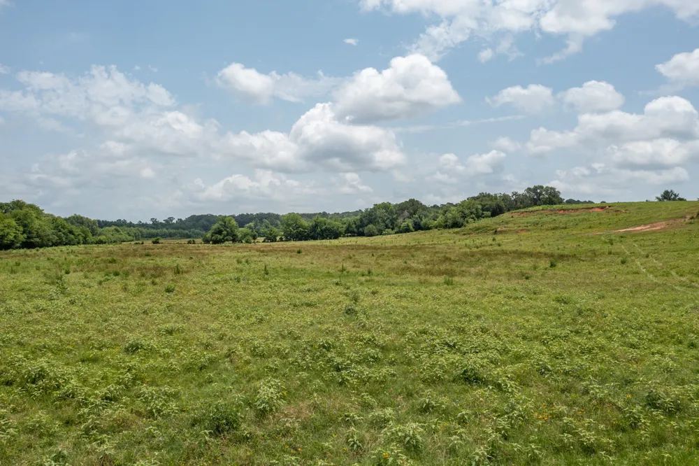 FM 3019 Winnsboro, TX 75494