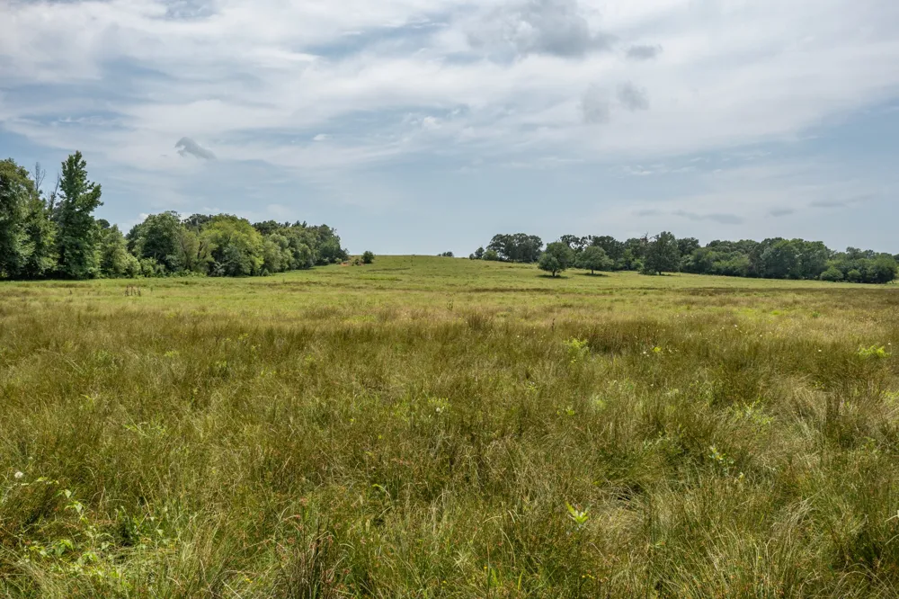 FM 3019 Winnsboro, TX 75494