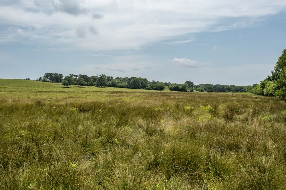 FM 3019 Winnsboro, TX 75494