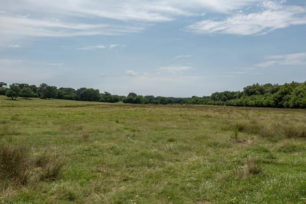 FM 3019 Winnsboro, TX 75494