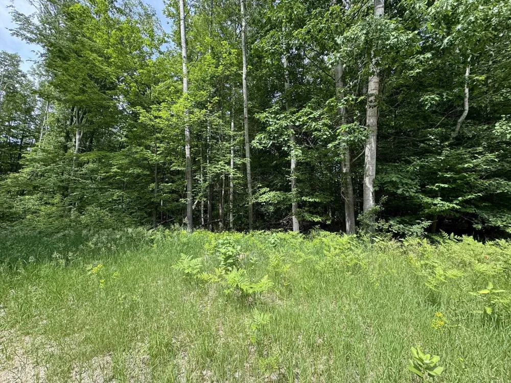 Knoll One Drive Rose Lake Township, MI 49655