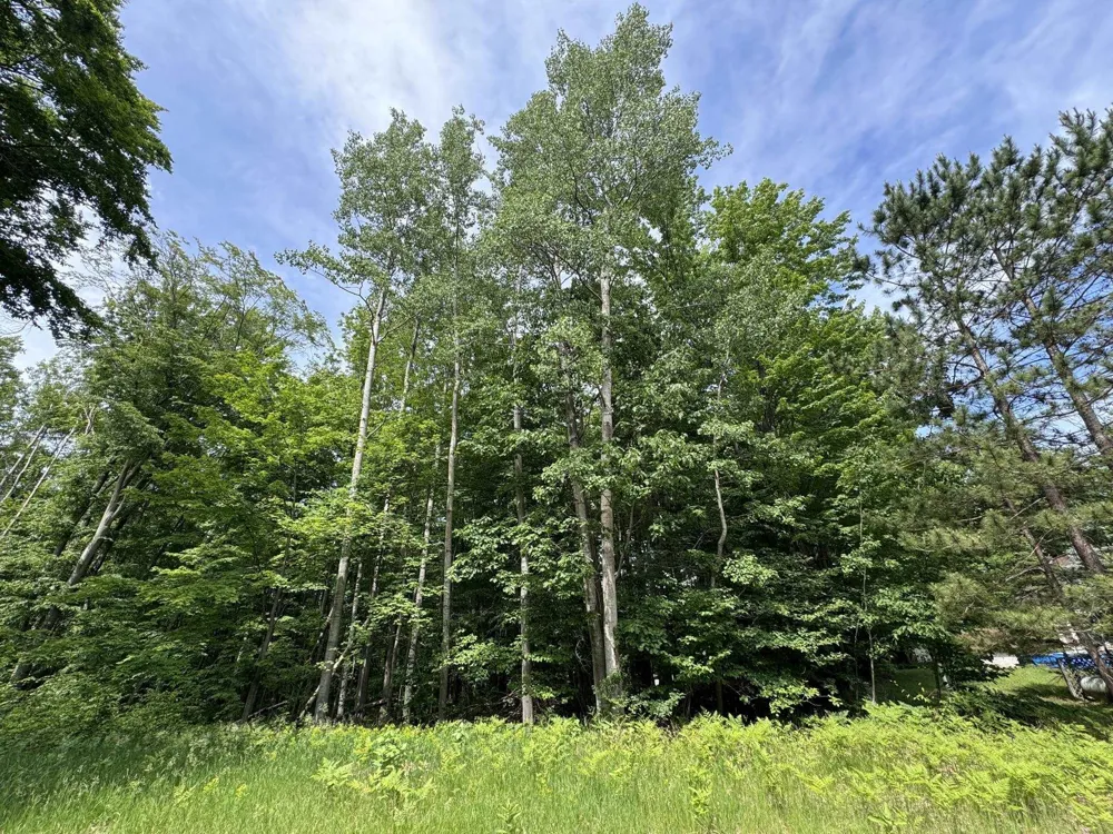 Knoll One Drive Rose Lake Township, MI 49655
