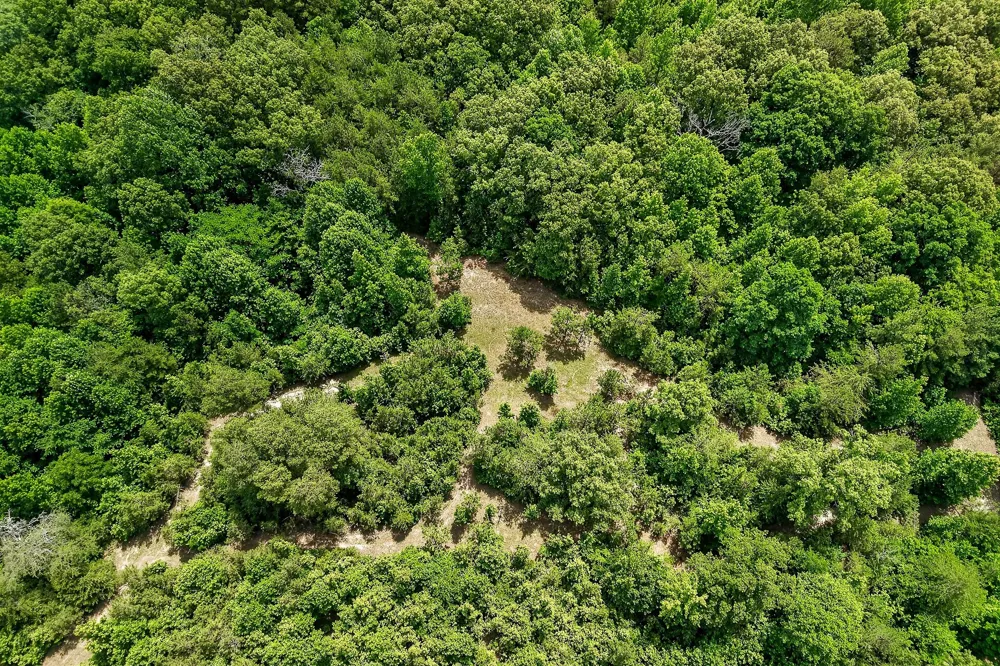 211 Arizona Ln Walling, TN 38587