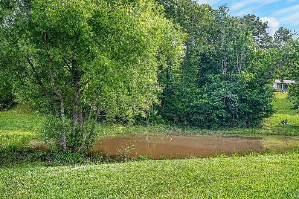 211 Arizona Ln Walling, TN 38587