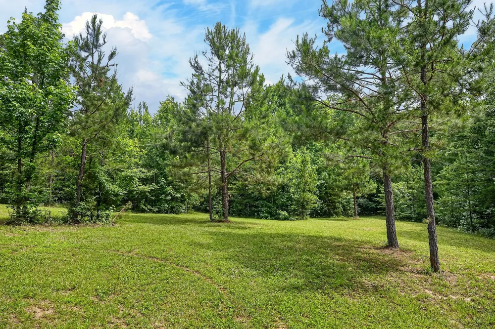 211 Arizona Ln Walling, TN 38587