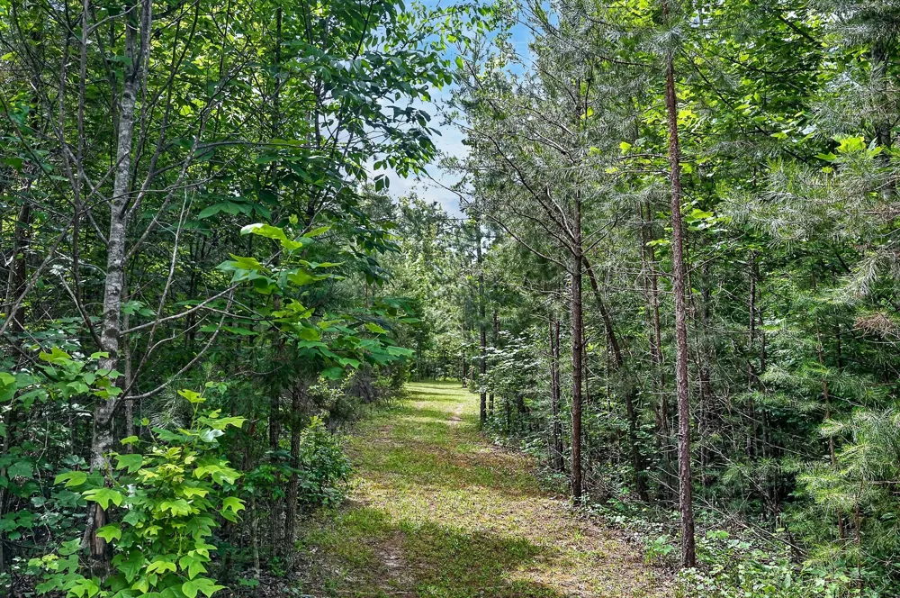 211 Arizona Ln Walling, TN 38587