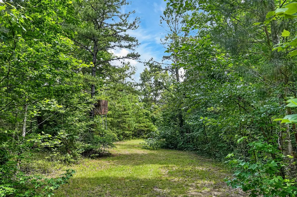 211 Arizona Ln Walling, TN 38587