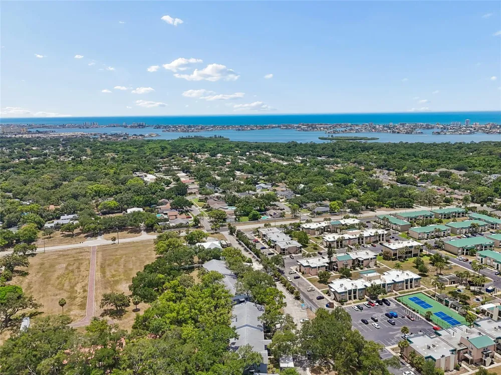 11800 PARK BOULEVARD #401 Seminole, FL 33772