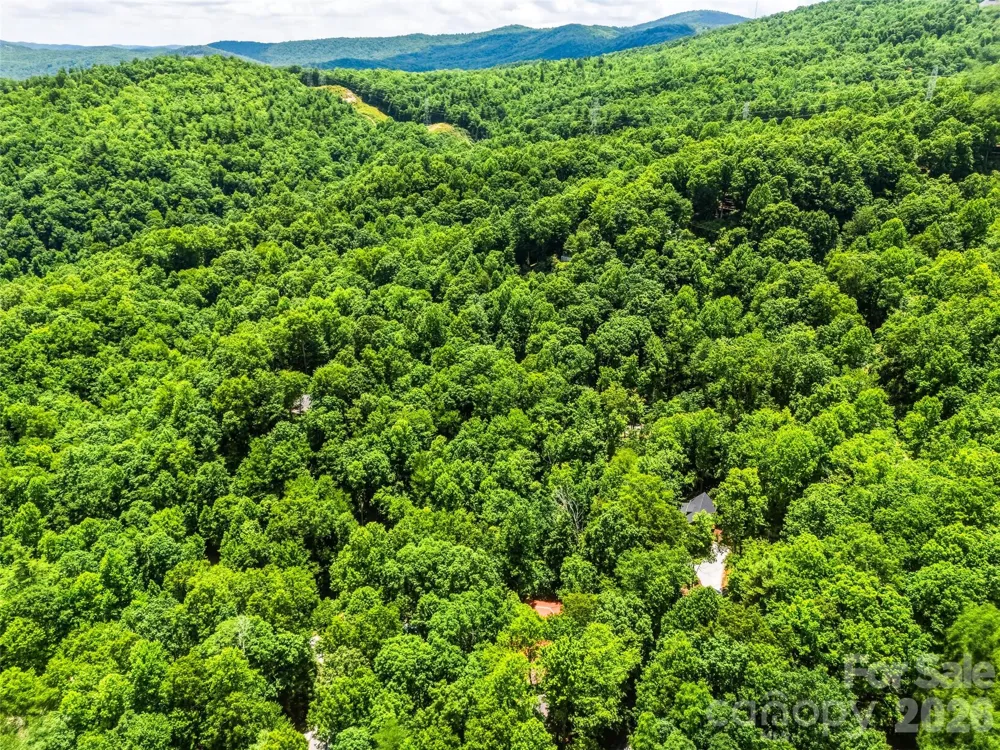 785 Pisgah Forest Drive Pisgah Forest, NC 28768