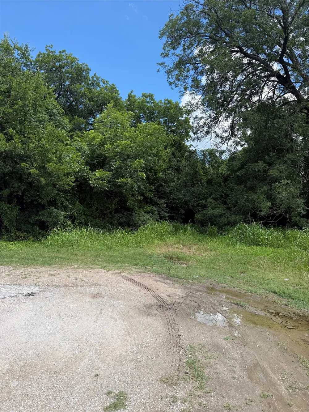 Will Street Waxahachie, TX 75165