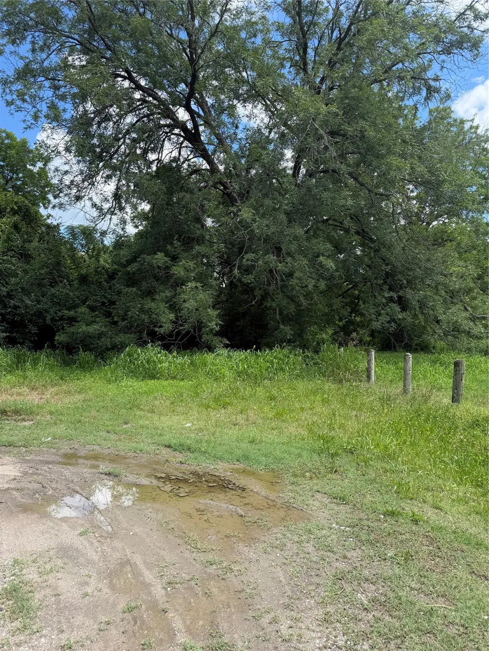 Will Street Waxahachie, TX 75165