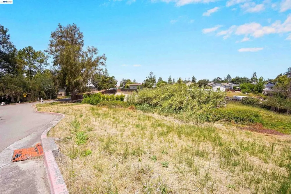 Mansfield Ave Hayward, CA 94541