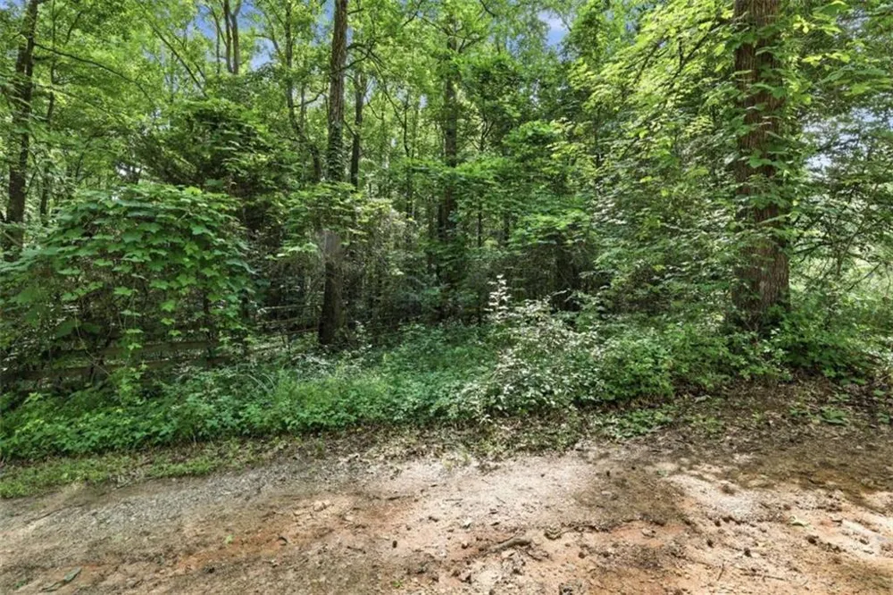 0 Lord Road Commerce, GA 30530