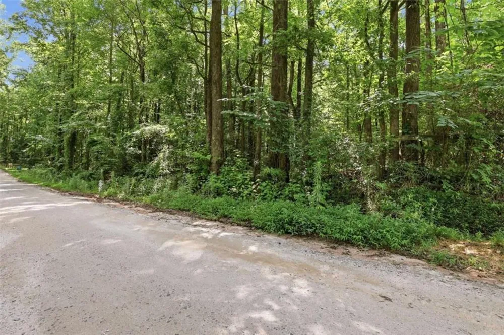 0 Lord Road Commerce, GA 30530