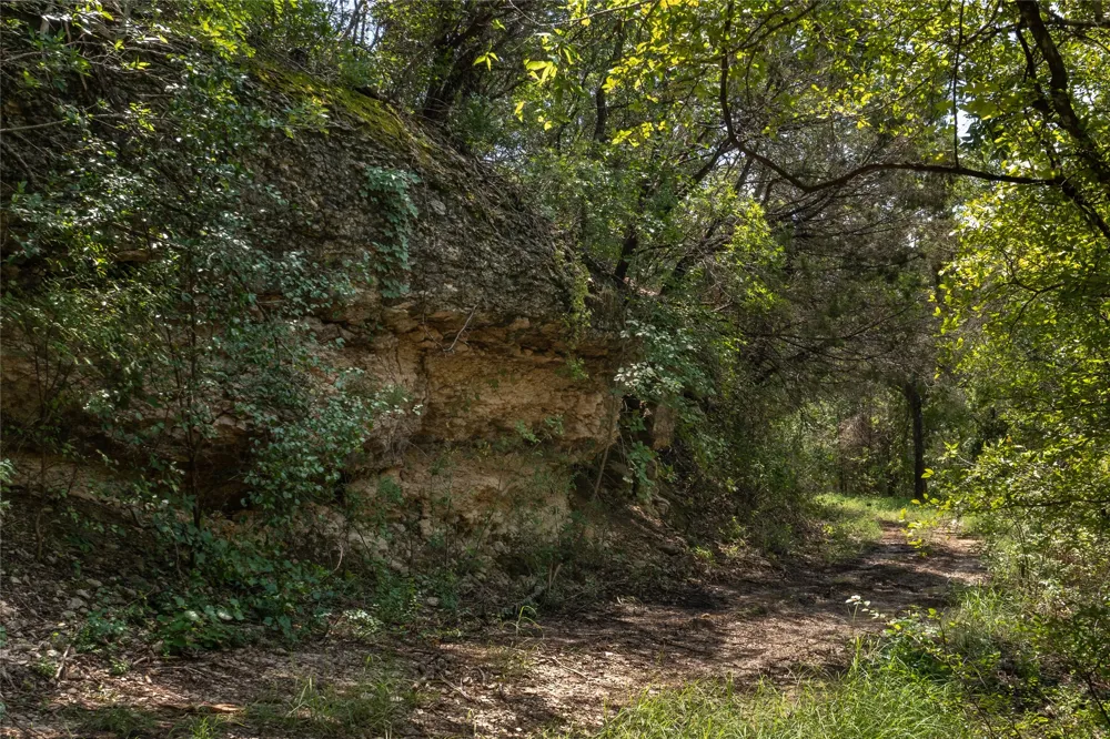 1030 Shiloh Vista Lane Tolar, TX 76476
