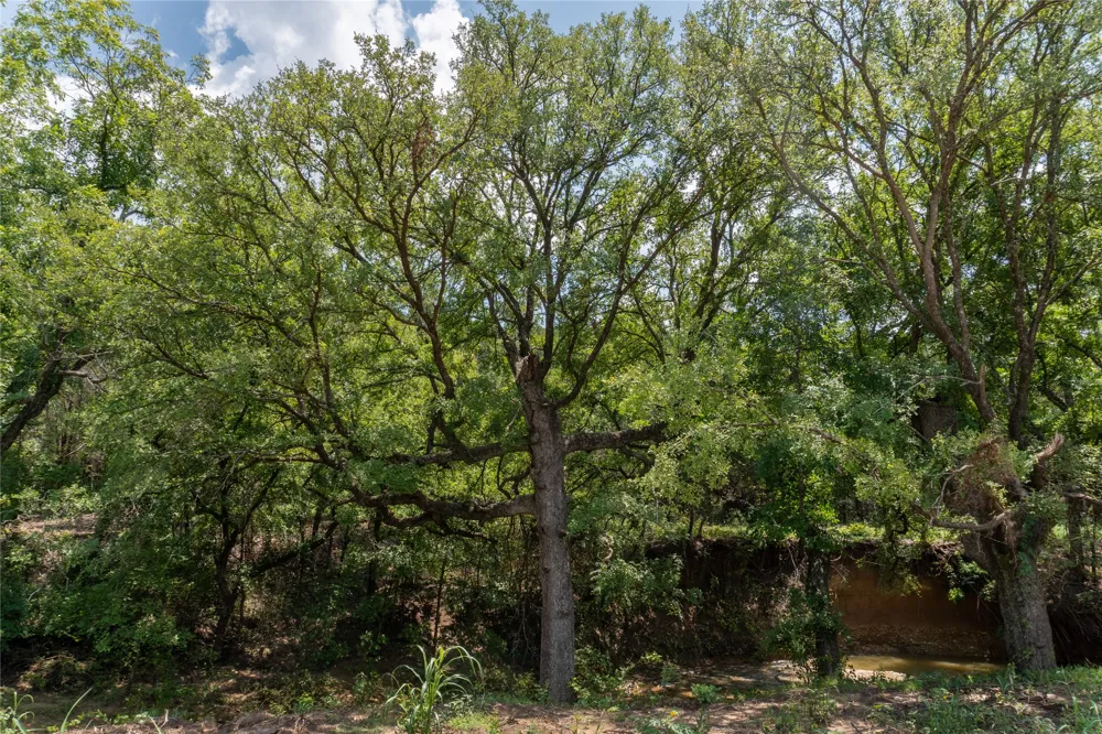 1030 Shiloh Vista Lane Tolar, TX 76476