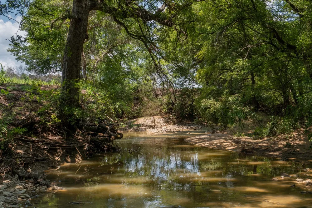 1030 Shiloh Vista Lane Tolar, TX 76476