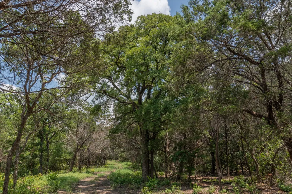 1030 Shiloh Vista Lane Tolar, TX 76476