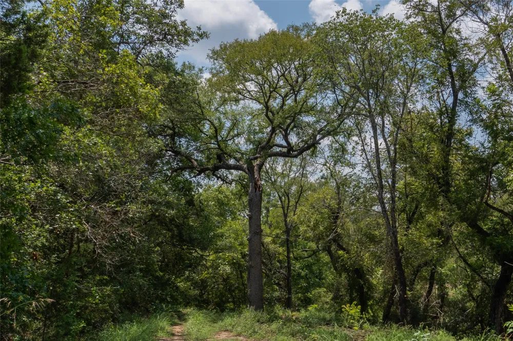 1030 Shiloh Vista Lane Tolar, TX 76476