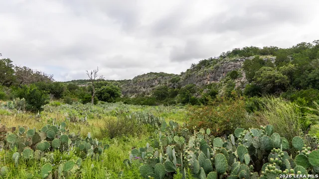 7772 CEDAR CREEK RD Brackettville, TX 78832