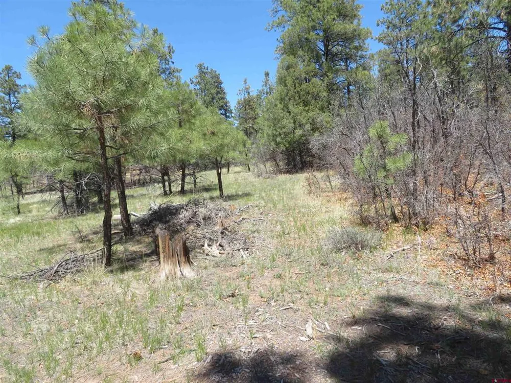 123 Susan's Place Pagosa Springs, CO 81147