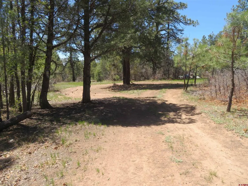 123 Susan's Place Pagosa Springs, CO 81147