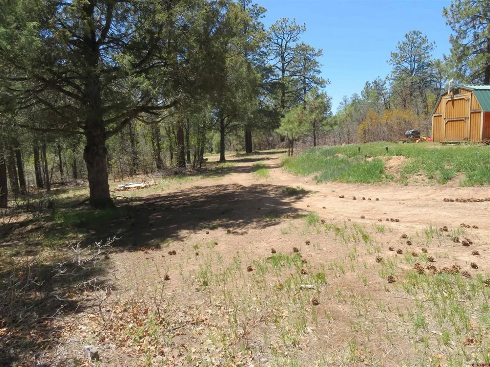 123 Susan's Place Pagosa Springs, CO 81147