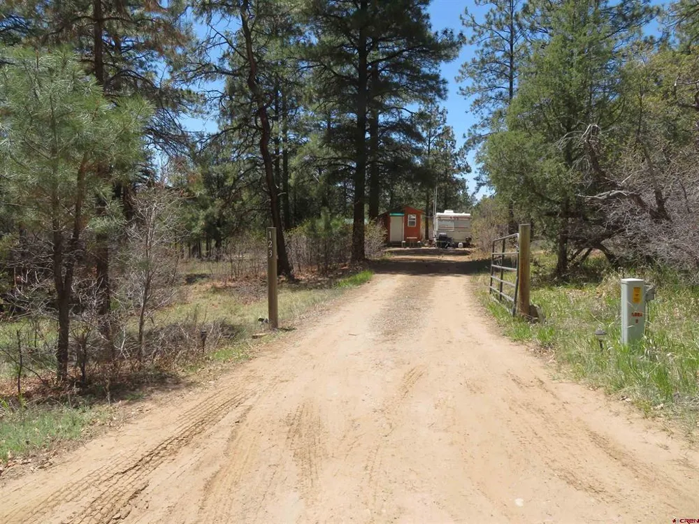 123 Susan's Place Pagosa Springs, CO 81147