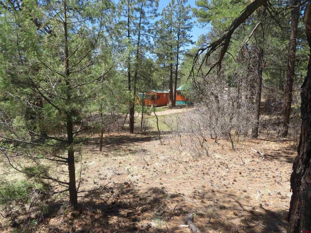 123 Susan's Place Pagosa Springs, CO 81147