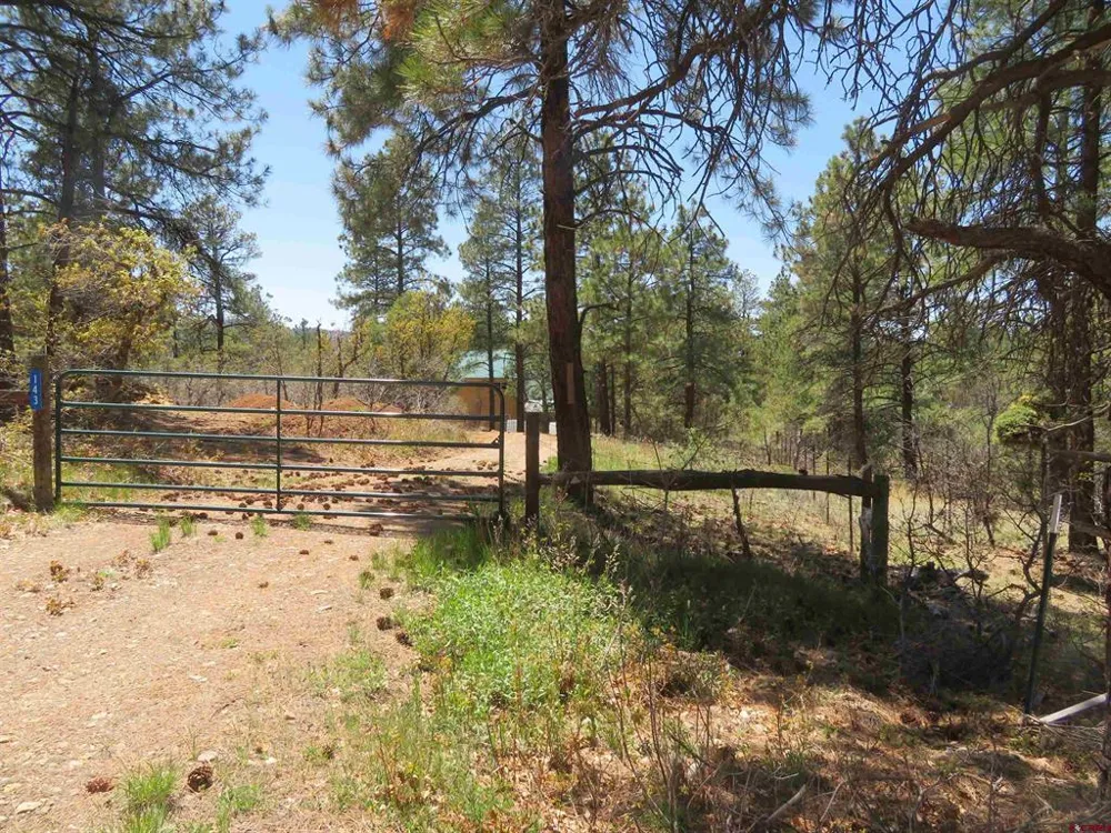 123 Susan's Place Pagosa Springs, CO 81147