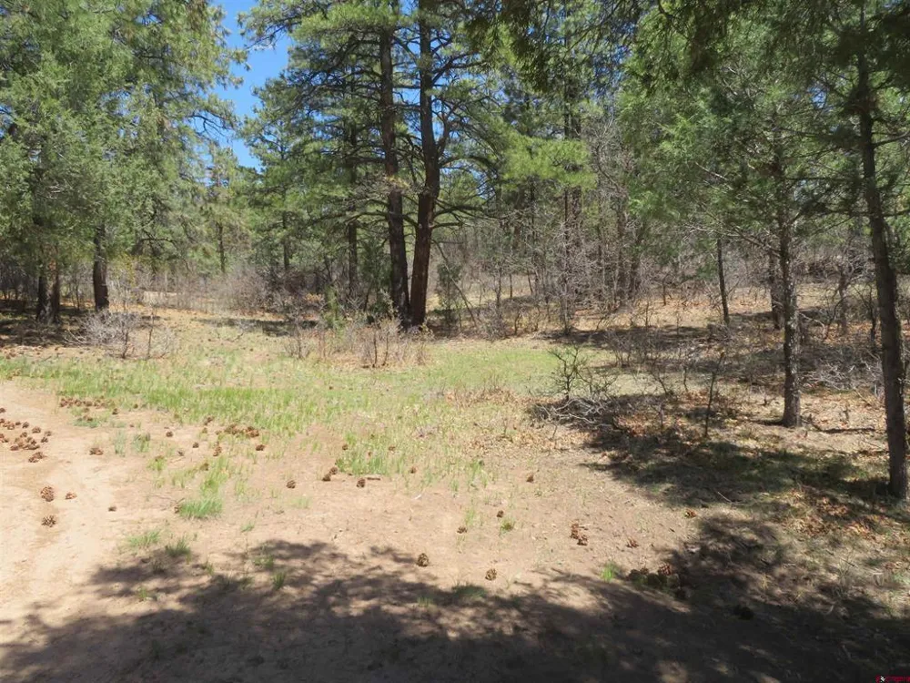 123 Susan's Place Pagosa Springs, CO 81147