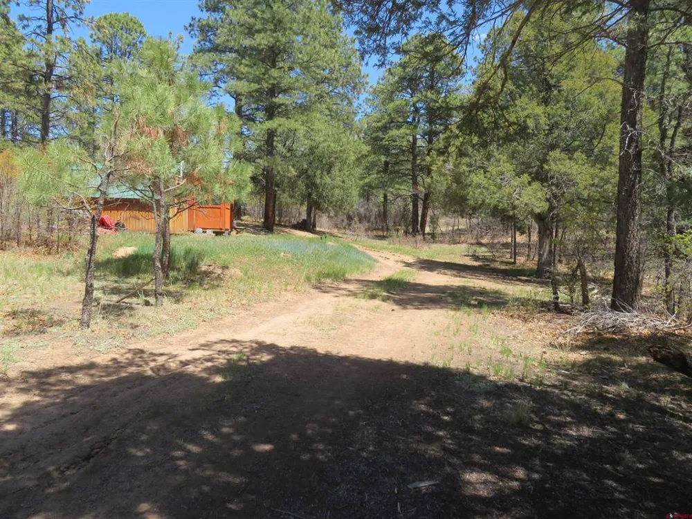 123 Susan's Place Pagosa Springs, CO 81147