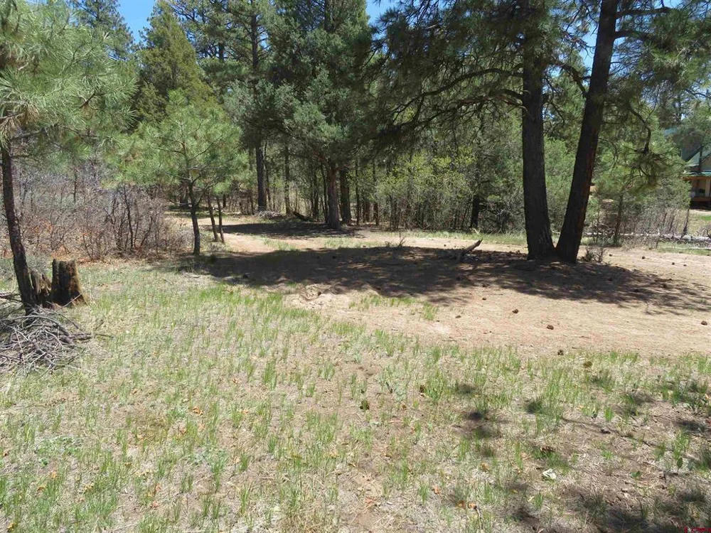 123 Susan's Place Pagosa Springs, CO 81147